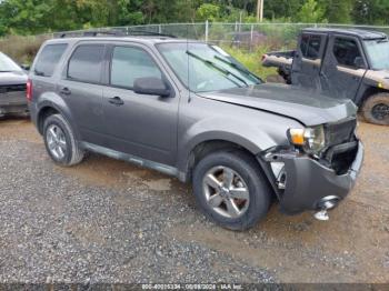  Salvage Ford Escape