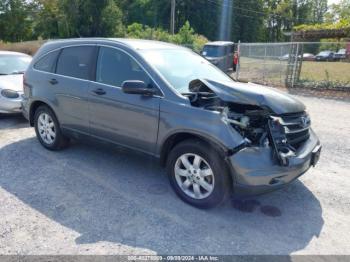  Salvage Honda CR-V