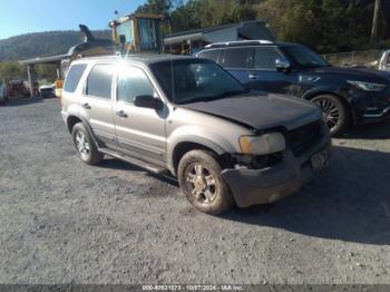  Salvage Ford Escape