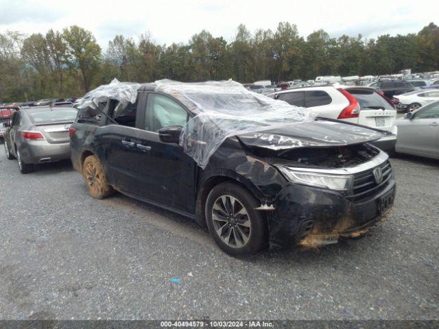  Salvage Honda Odyssey