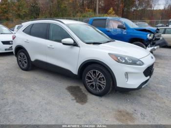  Salvage Ford Escape