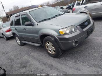  Salvage Ford Escape