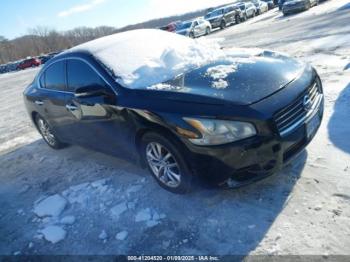  Salvage Nissan Maxima