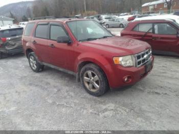  Salvage Ford Escape