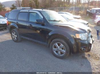  Salvage Ford Escape