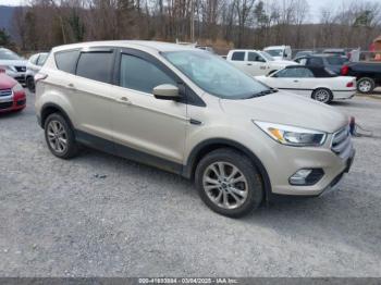  Salvage Ford Escape