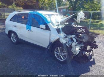  Salvage Kia Sorento