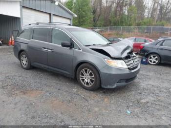  Salvage Honda Odyssey