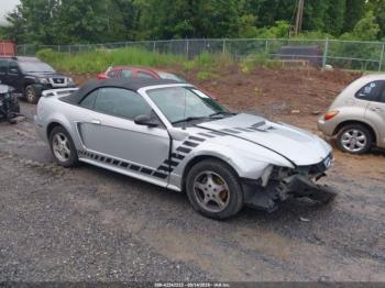  Salvage Ford Mustang