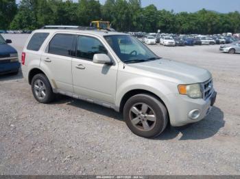  Salvage Ford Escape
