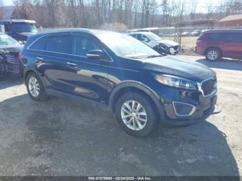  Salvage Kia Sorento