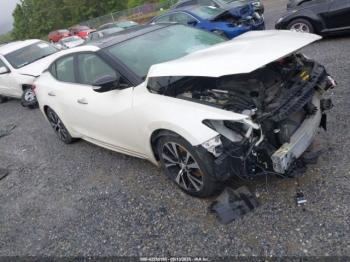  Salvage Nissan Maxima