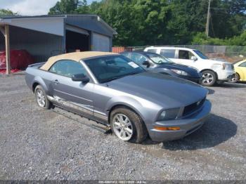 Salvage Ford Mustang