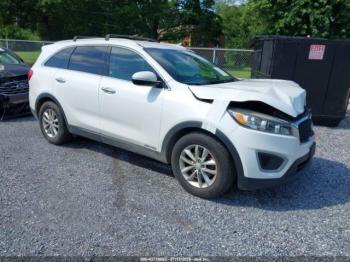  Salvage Kia Sorento