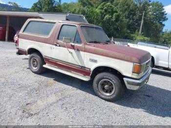  Salvage Ford Bronco