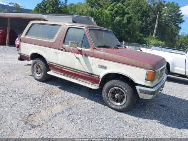  Salvage Ford Bronco