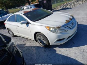  Salvage Hyundai SONATA