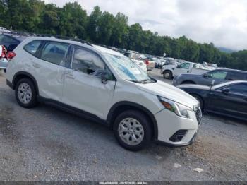  Salvage Subaru Forester