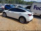 Tesla Model Y Image 2