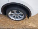 Tesla Model Y Image 10