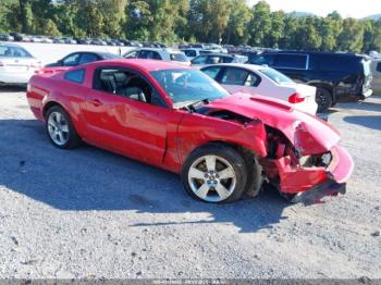  Salvage Ford Mustang