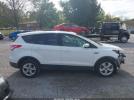 Ford Escape Se Image 7