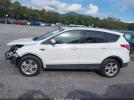 Ford Escape Se Image 13