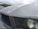 Ford Mustang Image 4