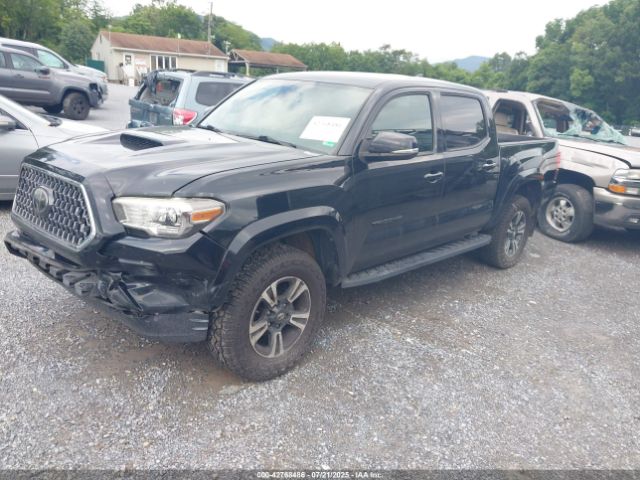 Toyota Tacoma Trd Sport Image 8
