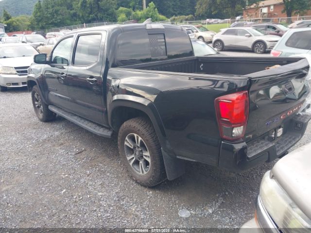 Toyota Tacoma Trd Sport Image 5