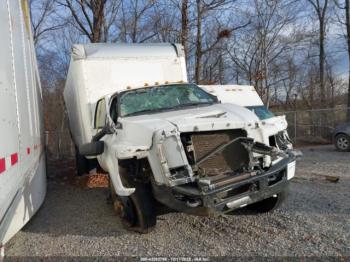  Salvage Ford F-650 Gas