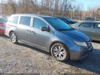  Salvage Honda Odyssey