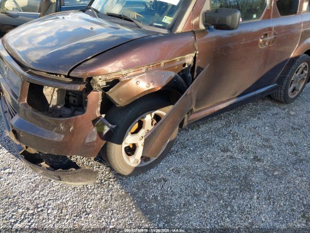 Honda Element Sc Image 5