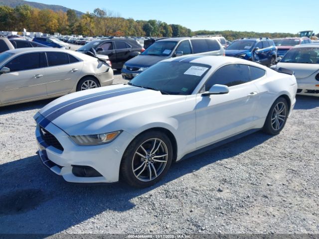 Ford Mustang Ecoboost Image 15