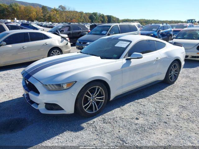 Ford Mustang Ecoboost Image 15