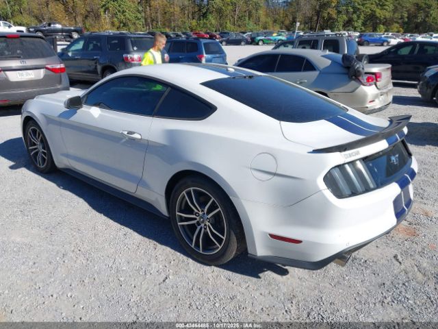 Ford Mustang Ecoboost Image 2