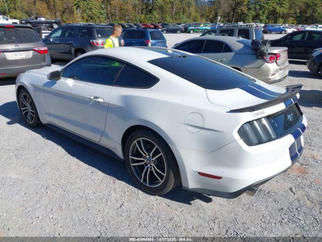 Ford Mustang Ecoboost Image 2