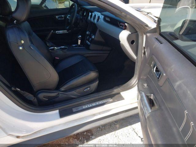 Ford Mustang Ecoboost Image 3