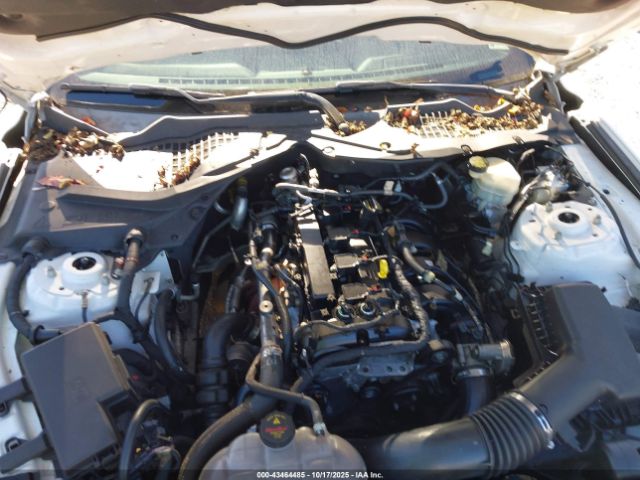 Ford Mustang Ecoboost Image 10