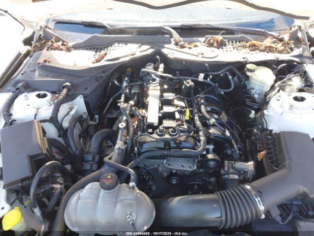 Ford Mustang Ecoboost Image 8