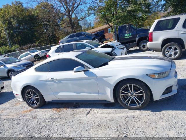 Ford Mustang Ecoboost Image 13