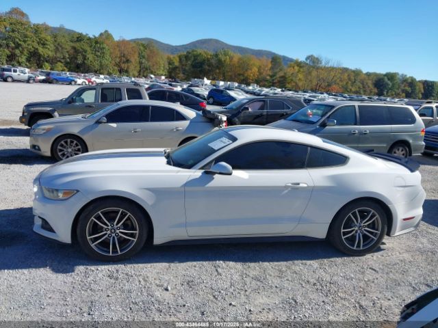 Ford Mustang Ecoboost Image 11