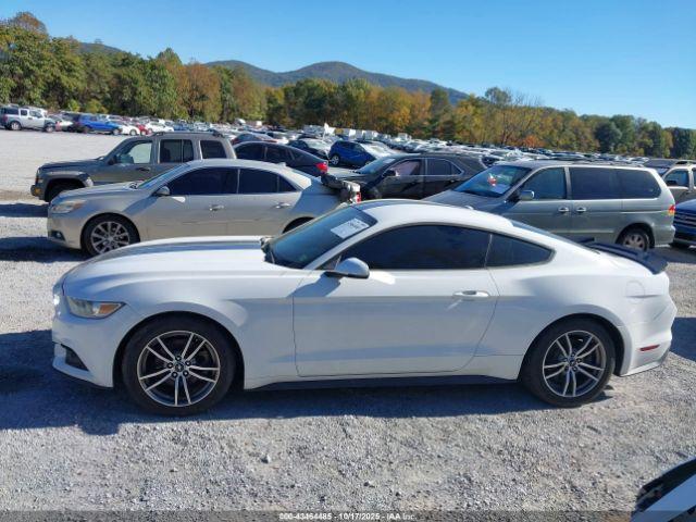 Ford Mustang Ecoboost Image 11