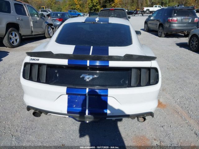 Ford Mustang Ecoboost Image 14