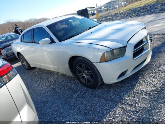 Dodge Charger Image 1