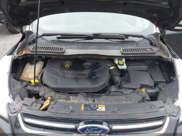 Ford Escape Titanium Image 14