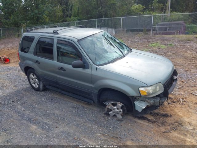 Ford Escape Image 1